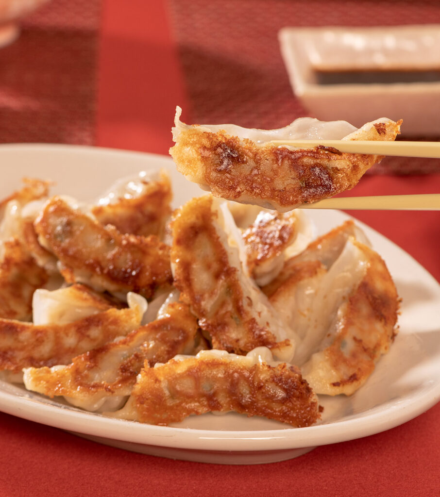 Vegetable Gyoza Family Pack AJINOMOTO® US Authentic Japanese at home