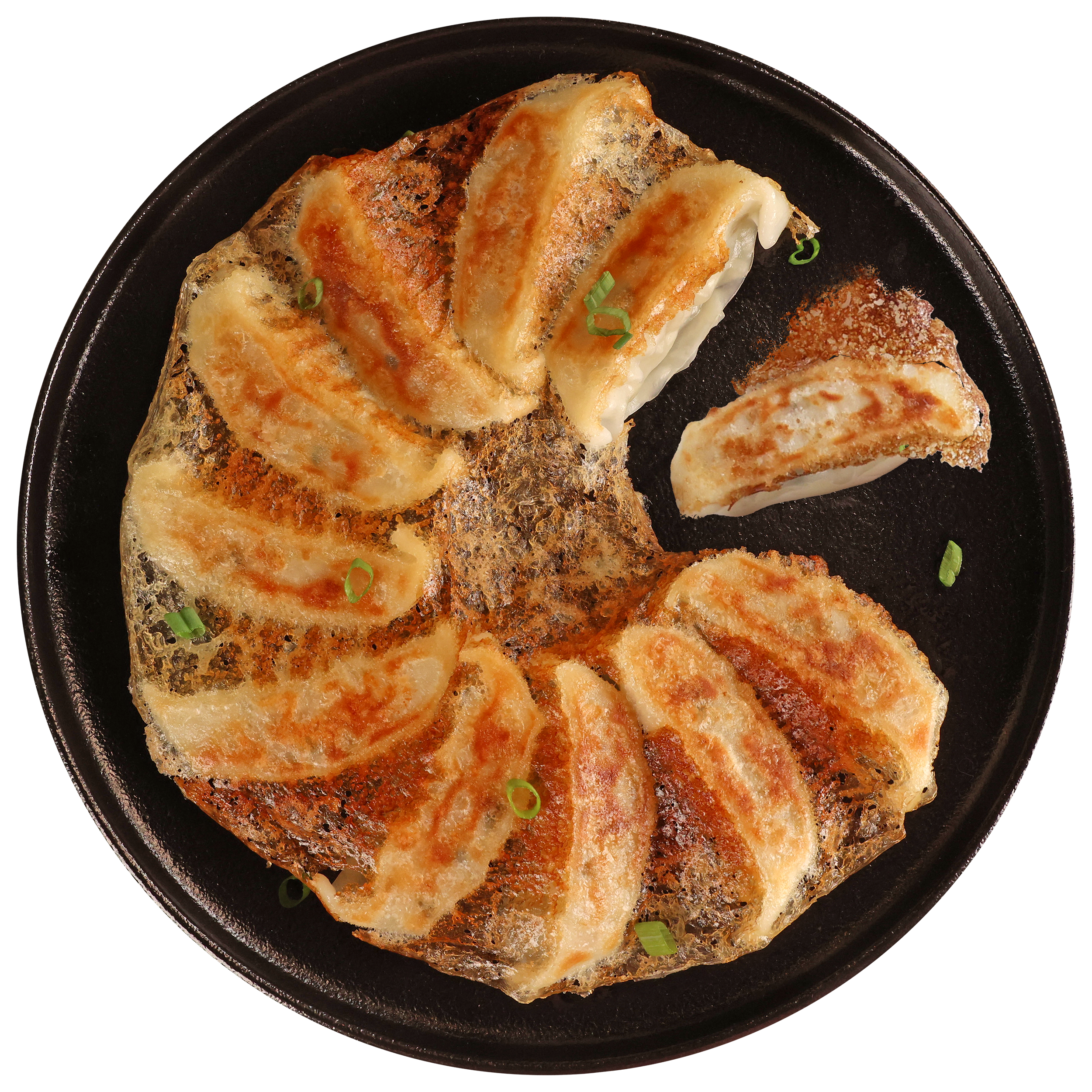 Pan with gyoza